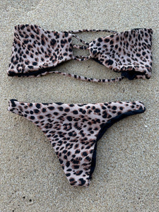 Wild Cat Tahiti Bottoms